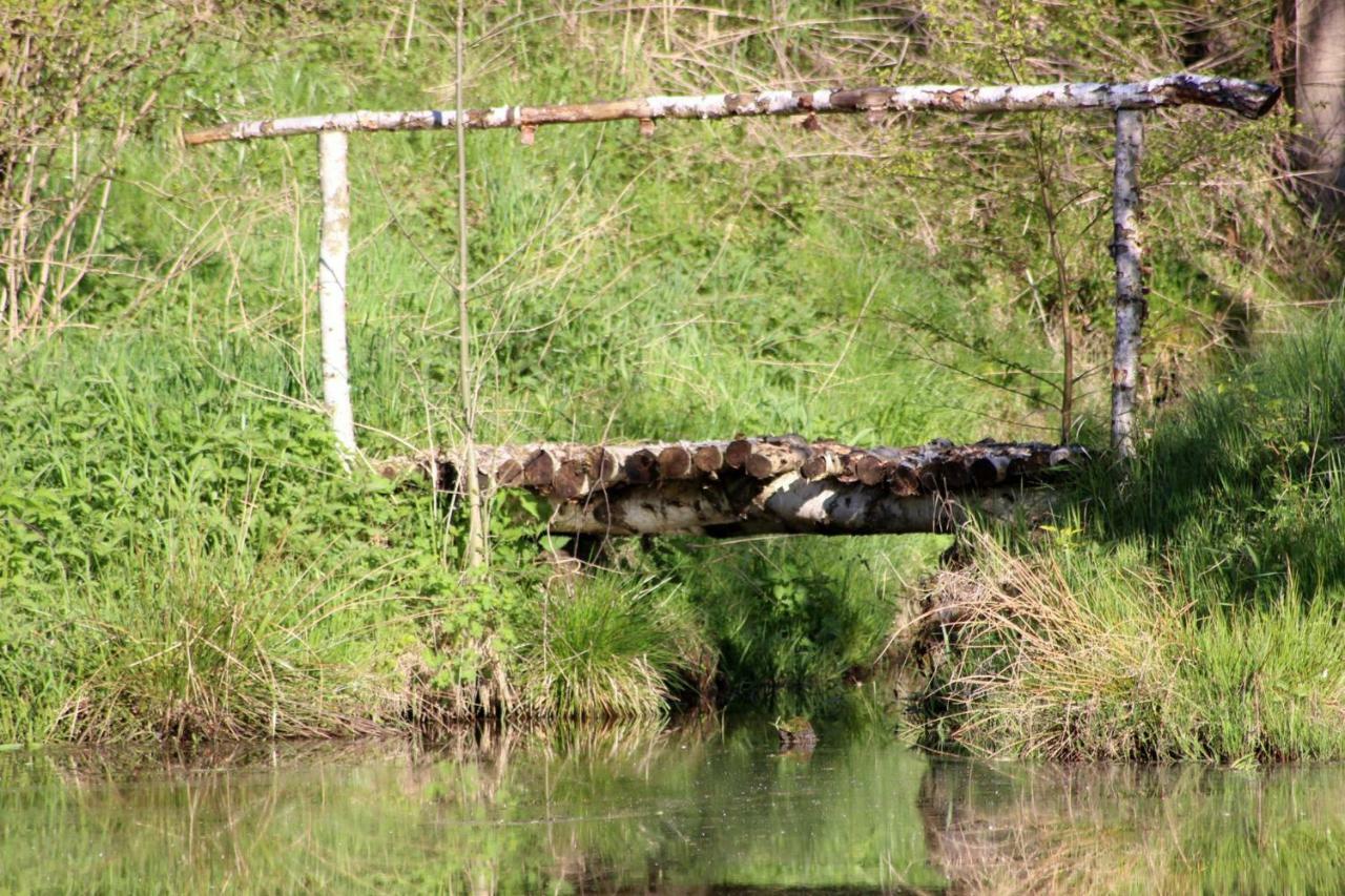 Hlebowka Siedlisko W Sudetach Villa Lubawka Kültér fotó